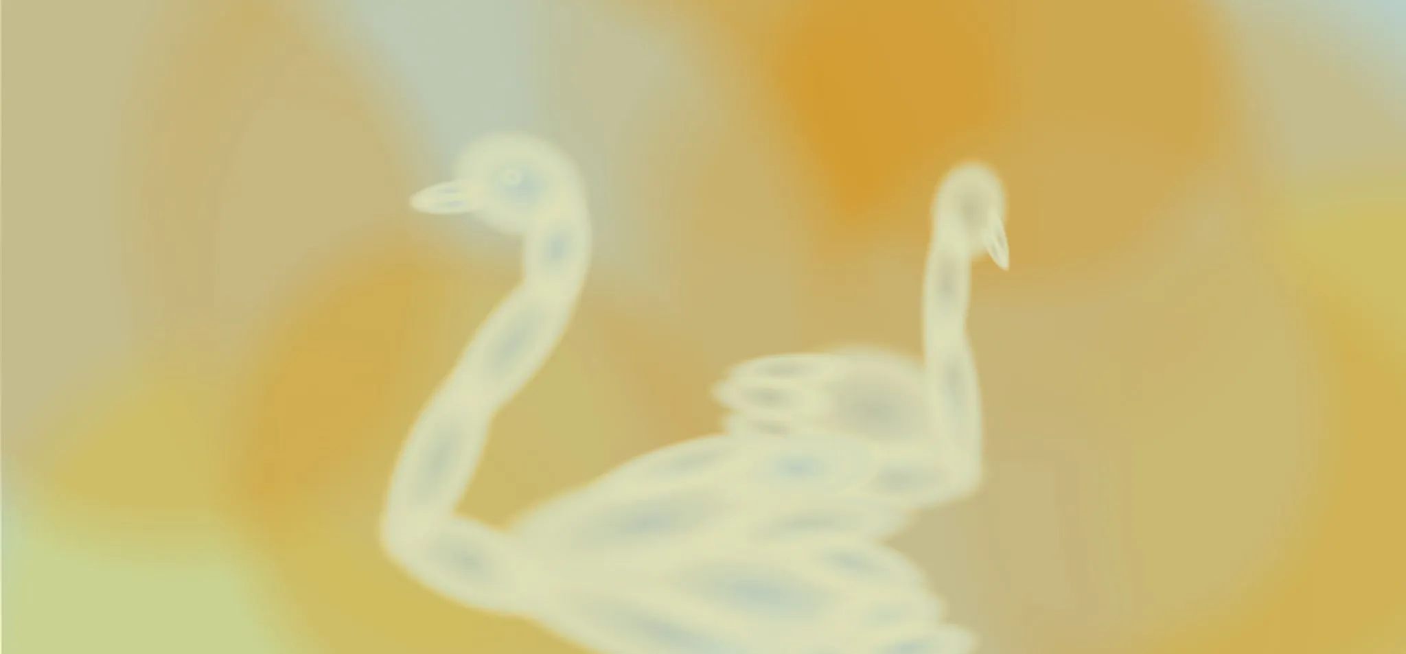 A imagem mostra uma ilustração de cisnes em um fundo colorido.